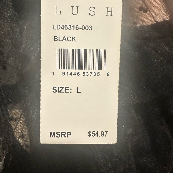 Lush Black Sheer Ruffled Midi Dress - Picture 2 of 2